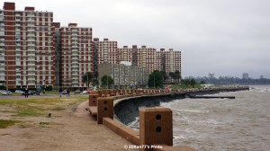 DSC03195
