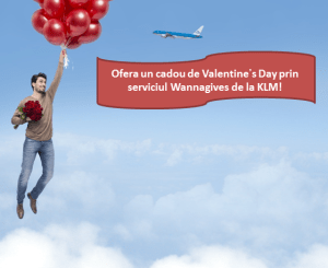 Valentine's Day Wannagives