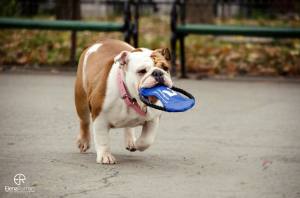 10644501_1502112986740142_847040620773212216_o