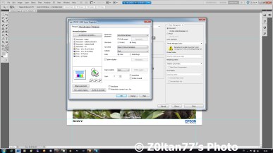 PrintScreen setari imprimare Epson L1800
