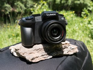 Panasonic LUMIX G7 Garden