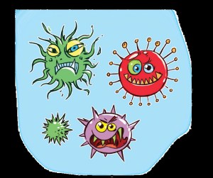 Virus_bacterii
