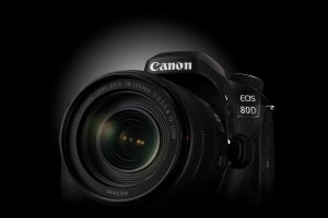 Canon EOS 80D (1)
